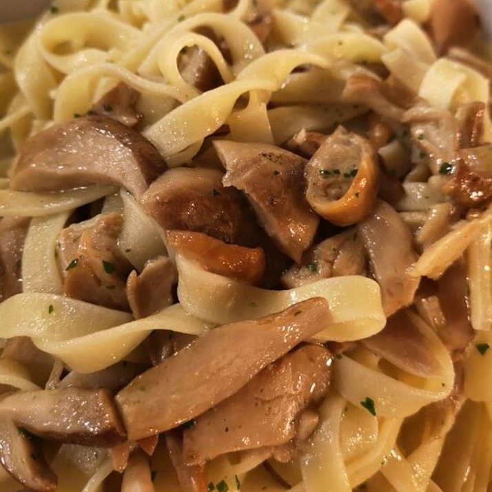 Tagliatelle ai funghi porcini